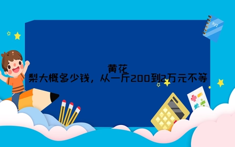 黄花梨大概多少钱，从一斤200到2万元不等