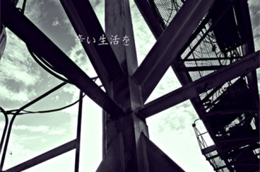 上海能源期货交易所，能源市场的重要枢纽与创新引擎