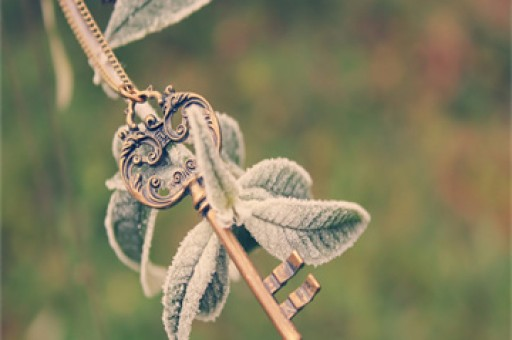 学姐的毕业季才是真正的购物节