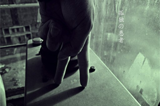 揭秘成长之谜，关于12岁女孩正常胸围的探讨
