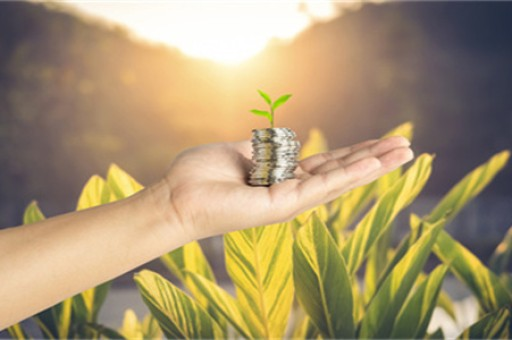 深入了解2024皮卡报废新规，皮卡是否有报废年限？